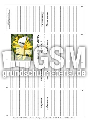 Faltbuch-Kleiner-Kohlweißling.pdf